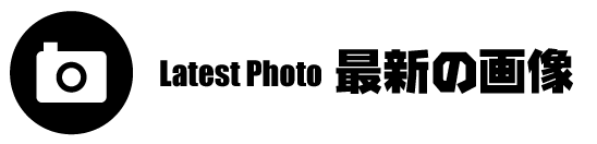 最新の画像