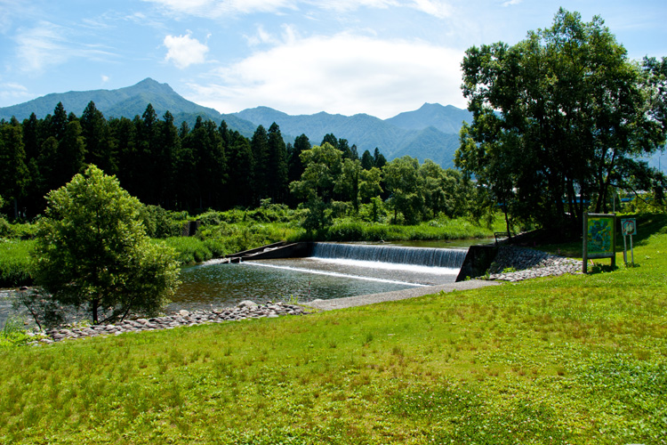 登川河川公園